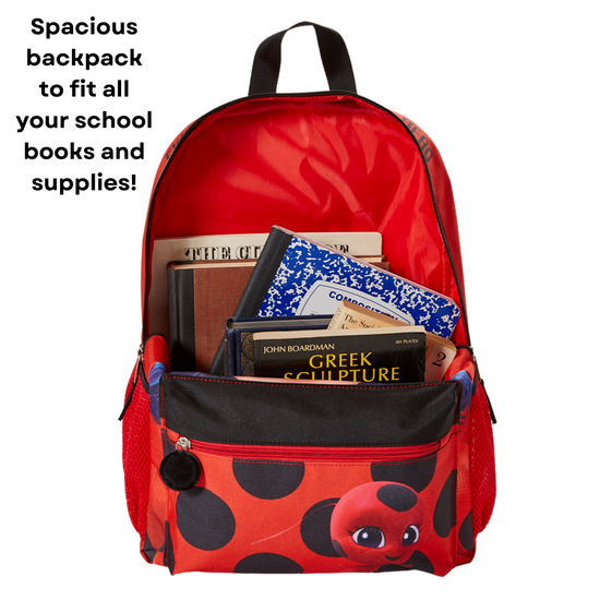 Miraculous school bag sale